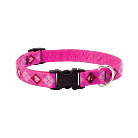 Lupine Dog Collar13-22Adj Pylv 14202